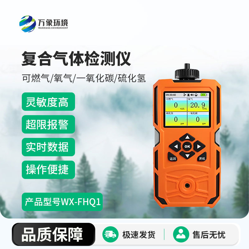 復(fù)合氣體檢測(cè)儀